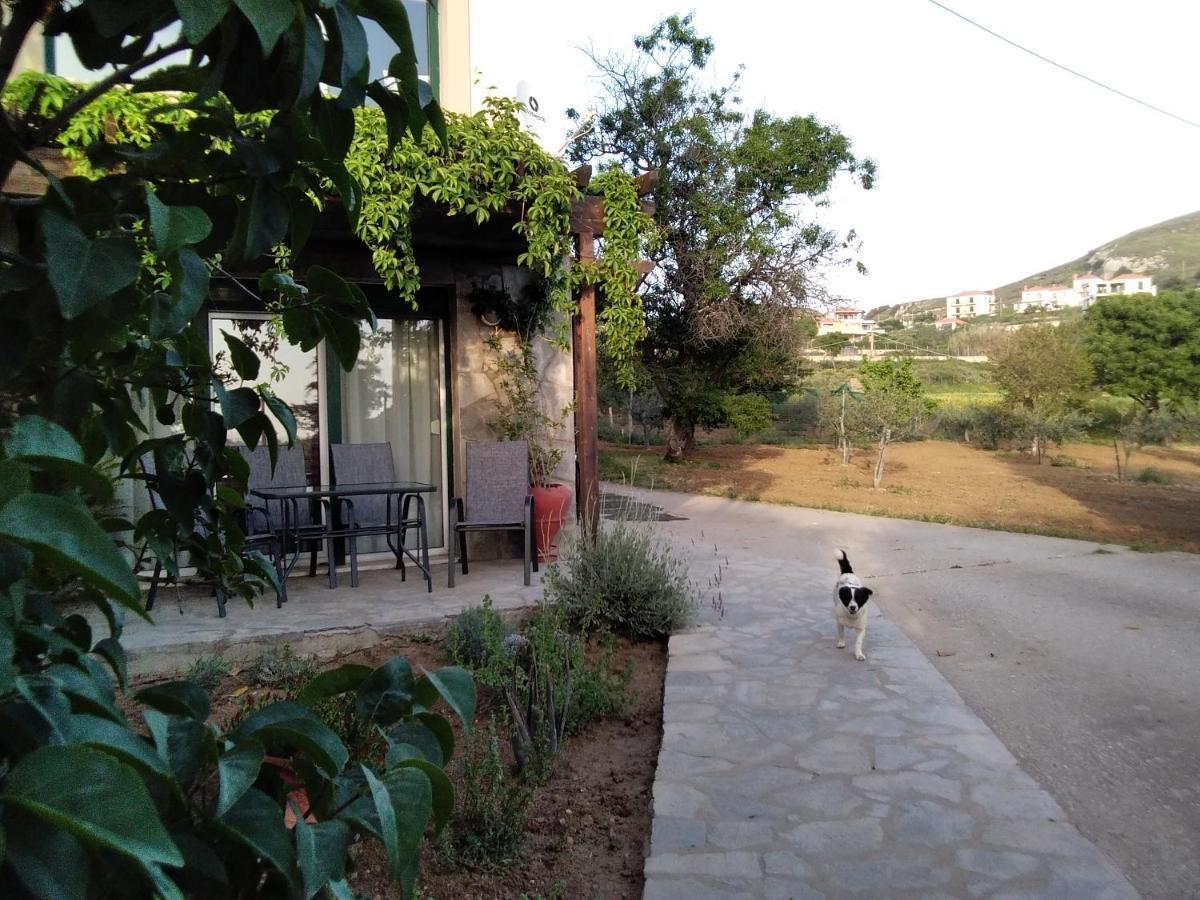 Vila Αμυγδαλιές 33 Μύρινα Exteriér fotografie